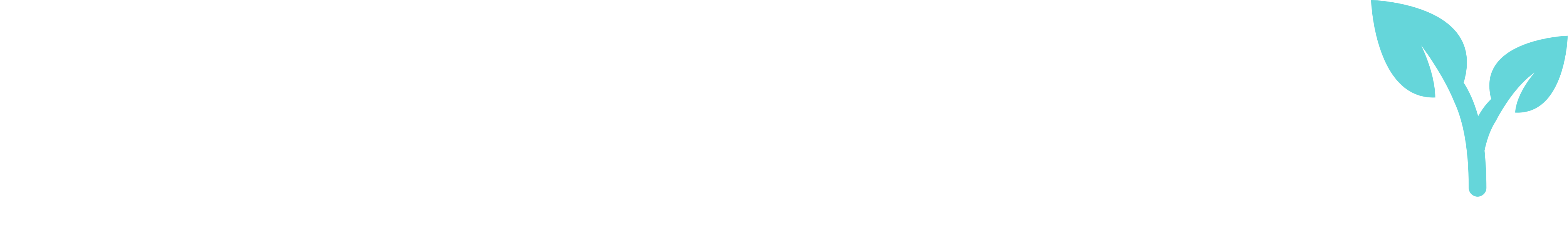 ZenithDataCore Logo